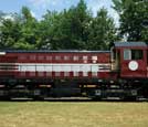 Locomotive