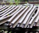Rail