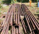Rail