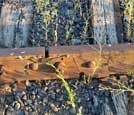 Rail and OTM