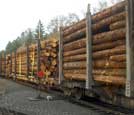 Flat Cars