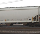 Covered Hopper